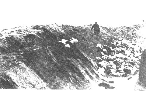 Libau 1941 -2