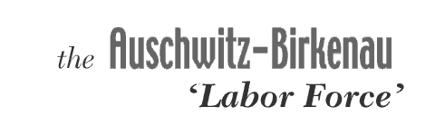The Auschwitz-Birkenau 'Labor Force.'